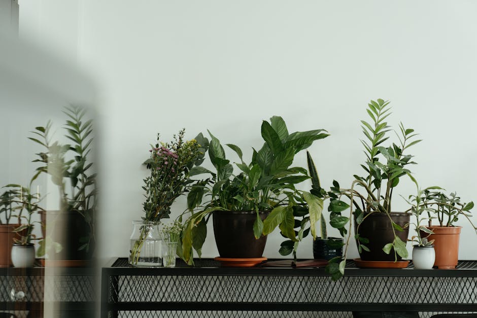 Elegant indoor plant arrangement on a metal shelf, creating a serene atmosphere.